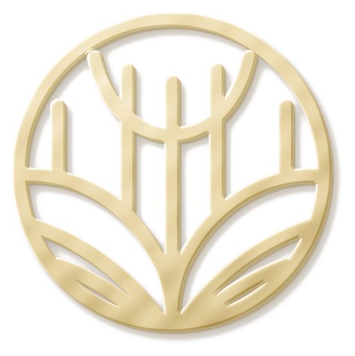 The Shine Ltd. logo